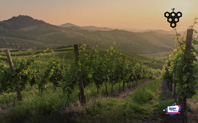 Alma Gaia se une a Music Meets Tourism como patrocinador oficial