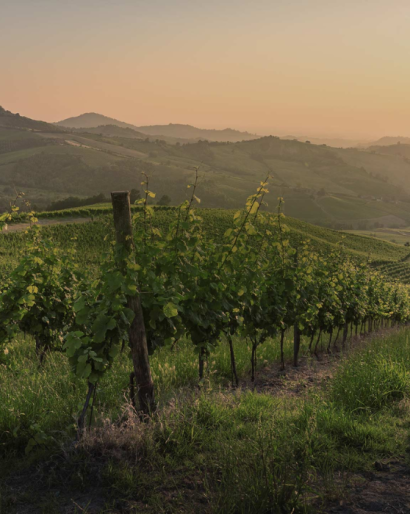 Alma Gaia se une a Music Meets Tourism como patrocinador oficial