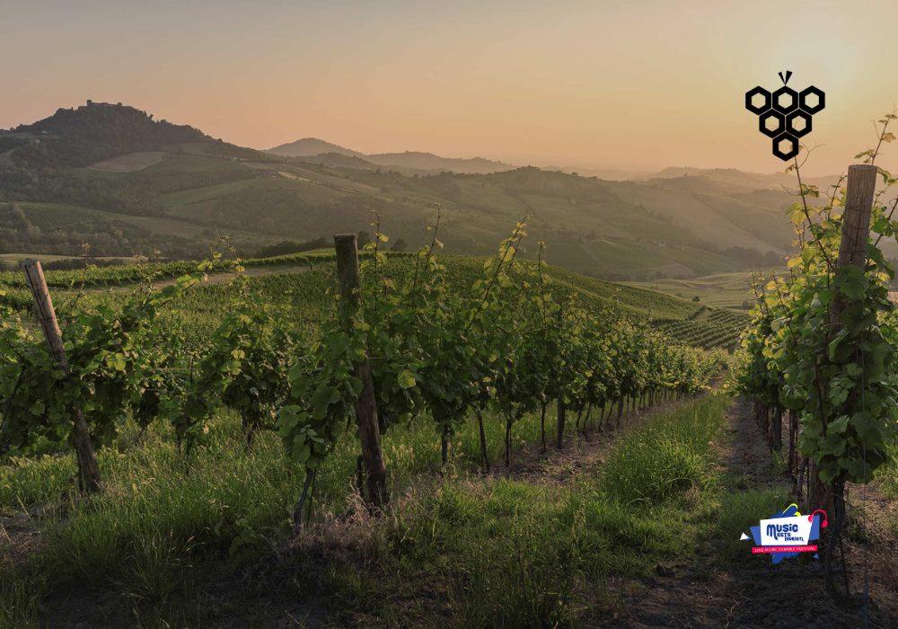 Alma Gaia se une a Music Meets Tourism como patrocinador oficial